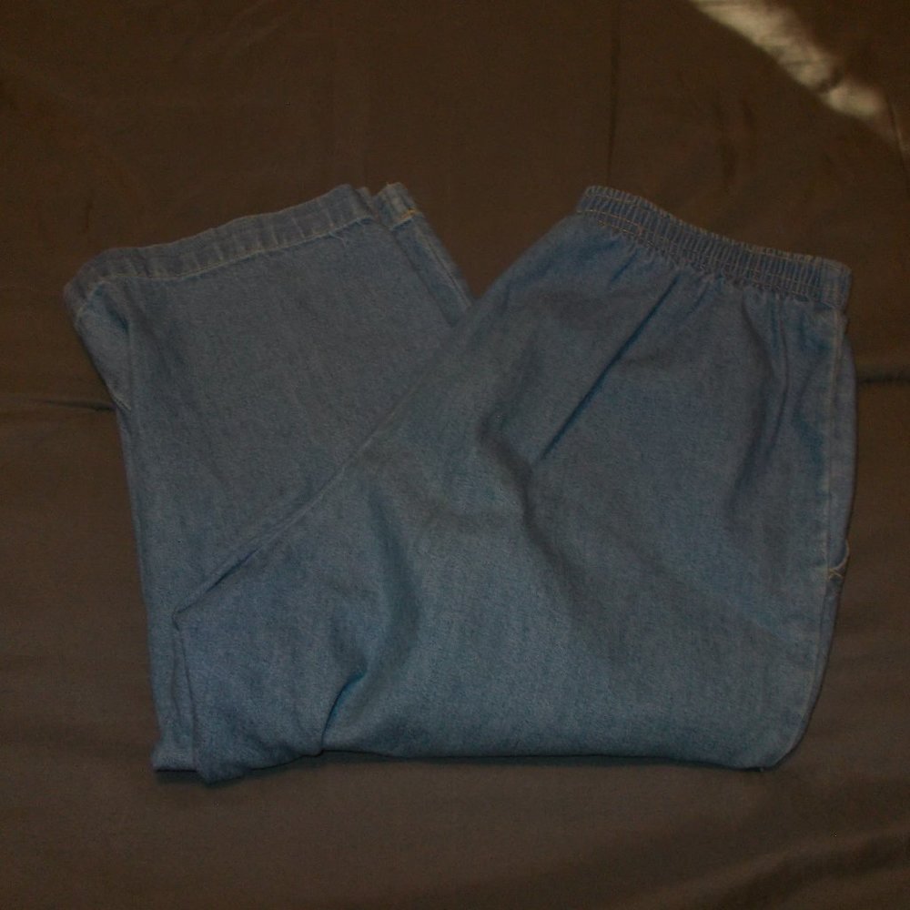 Classic Elements Capris Medium Wash Size 6 Petite - image 1